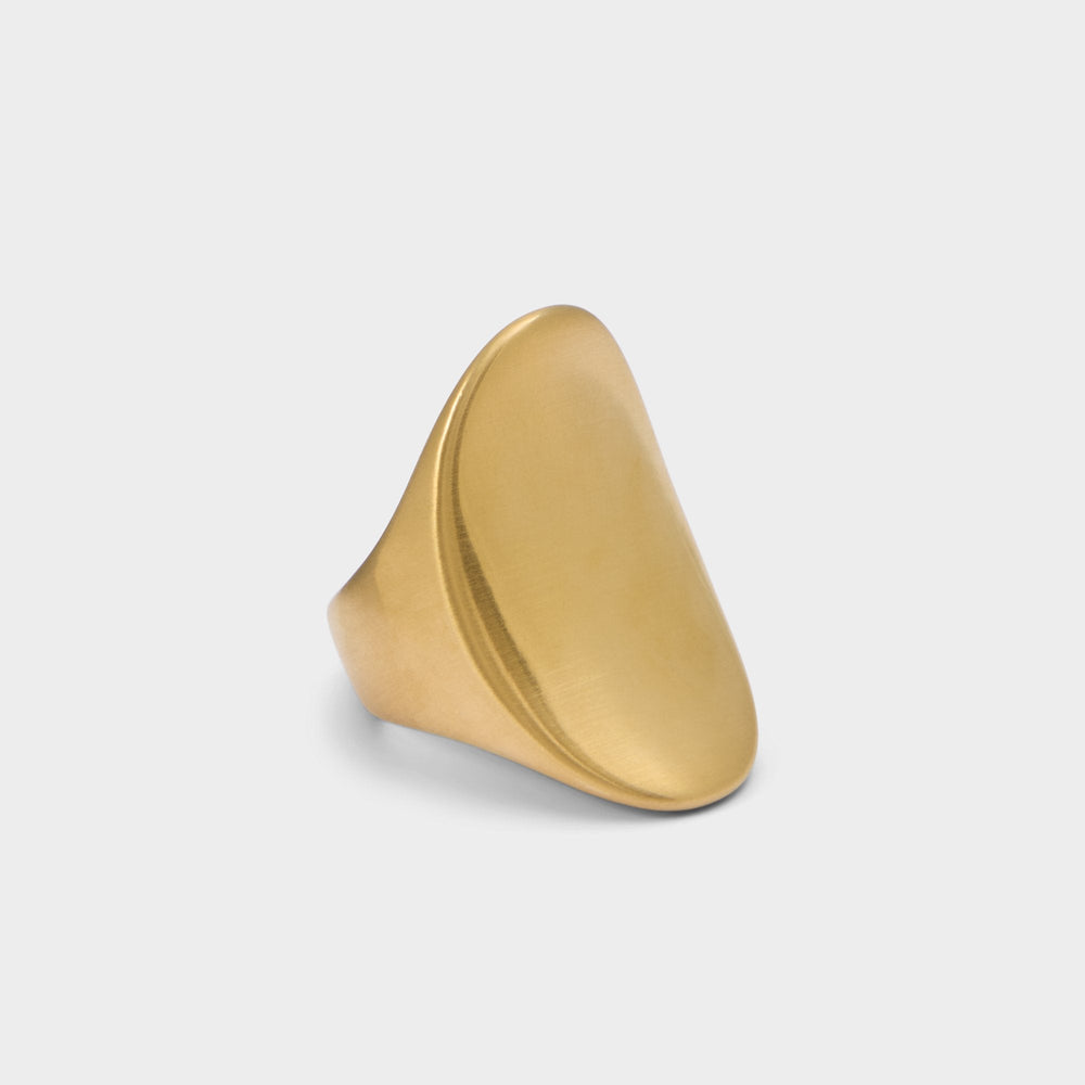 Gold Reigna in Gold - Ring | Aldo