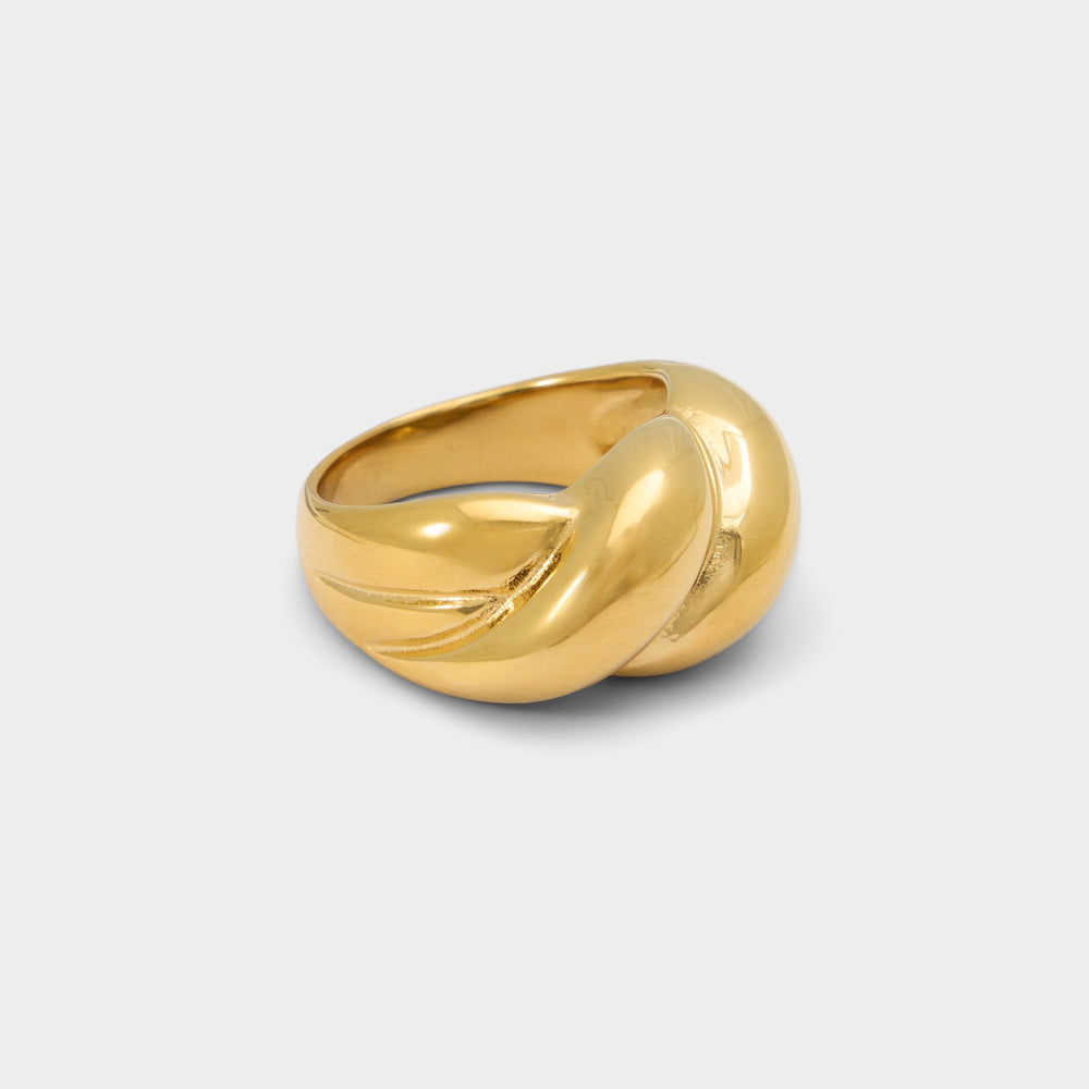 Gold Twiste in Gold - Ring | Aldo