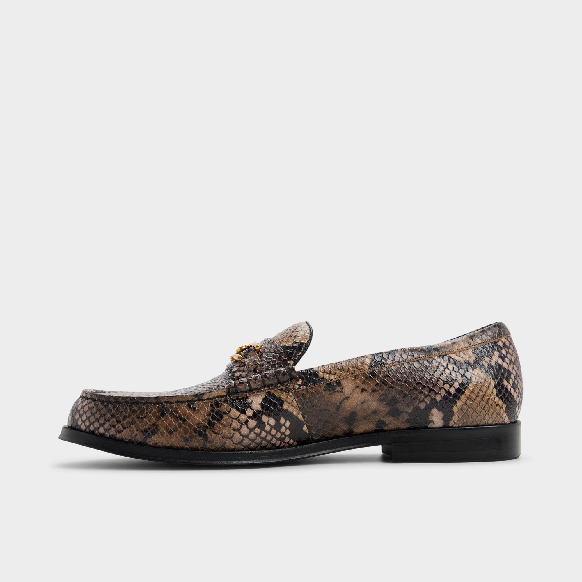 Brown multi Edouard in Brown Multi - Loafer | Aldo