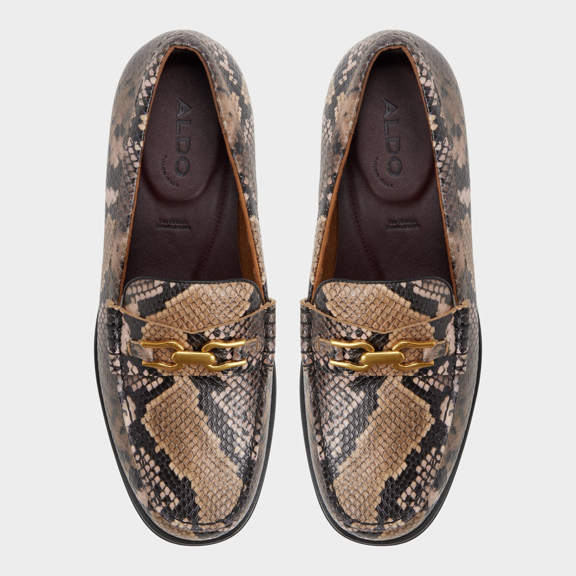 Brown multi Edouard in Brown Multi - Loafer | Aldo