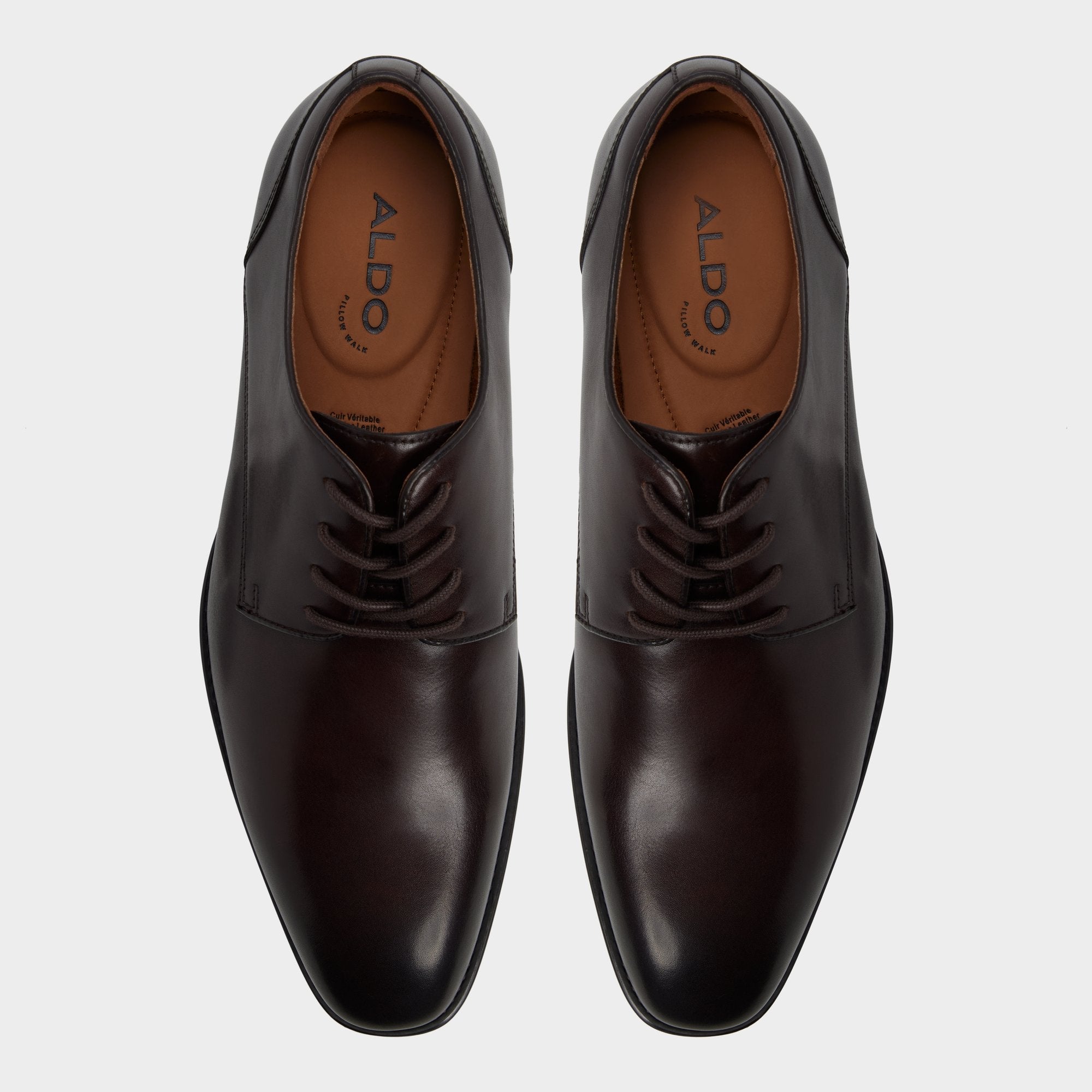 Dark brown Allegro in Dark Brown - Oxford shoe | Aldo