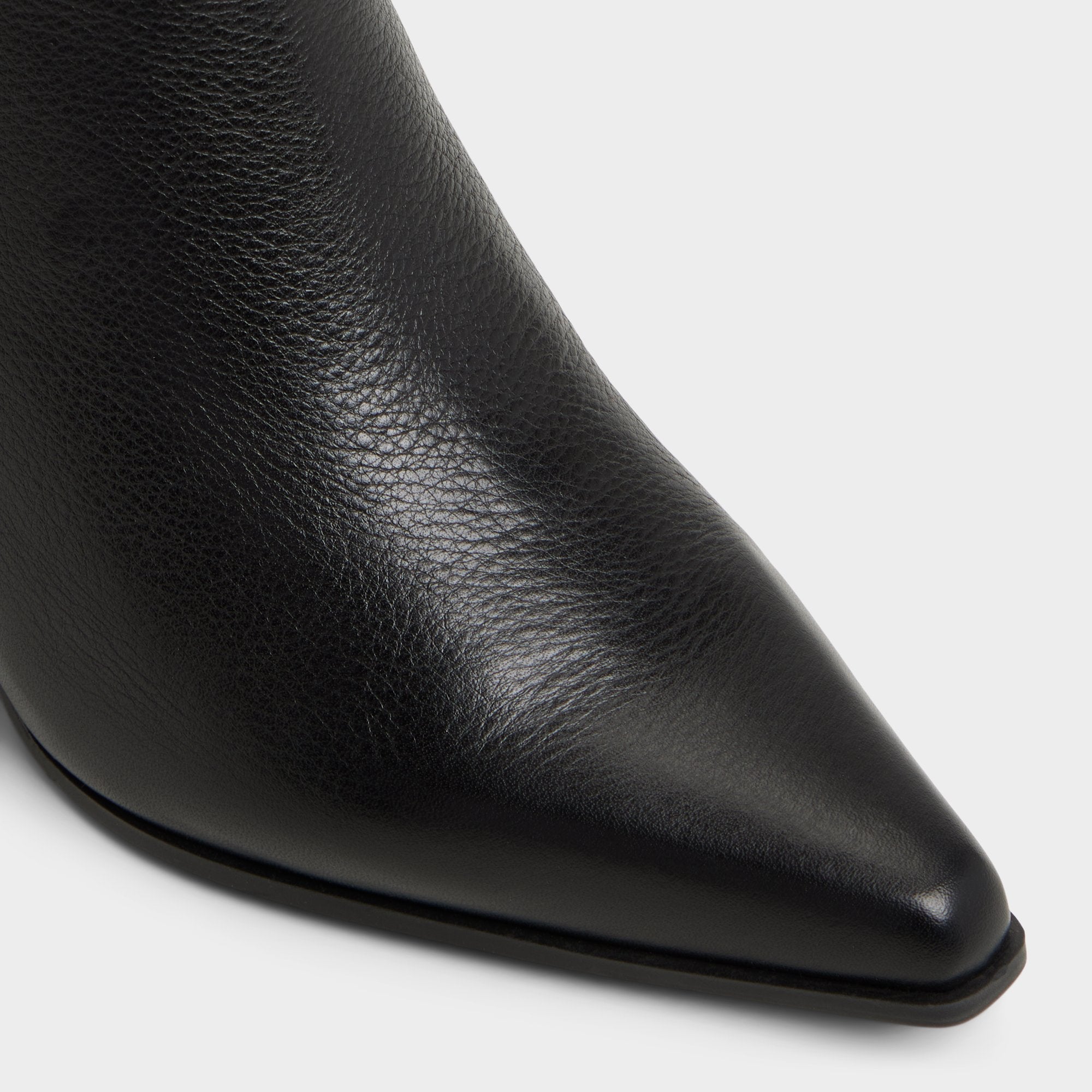 Black Shanah in Black - Ankle boot, Block heel | Aldo