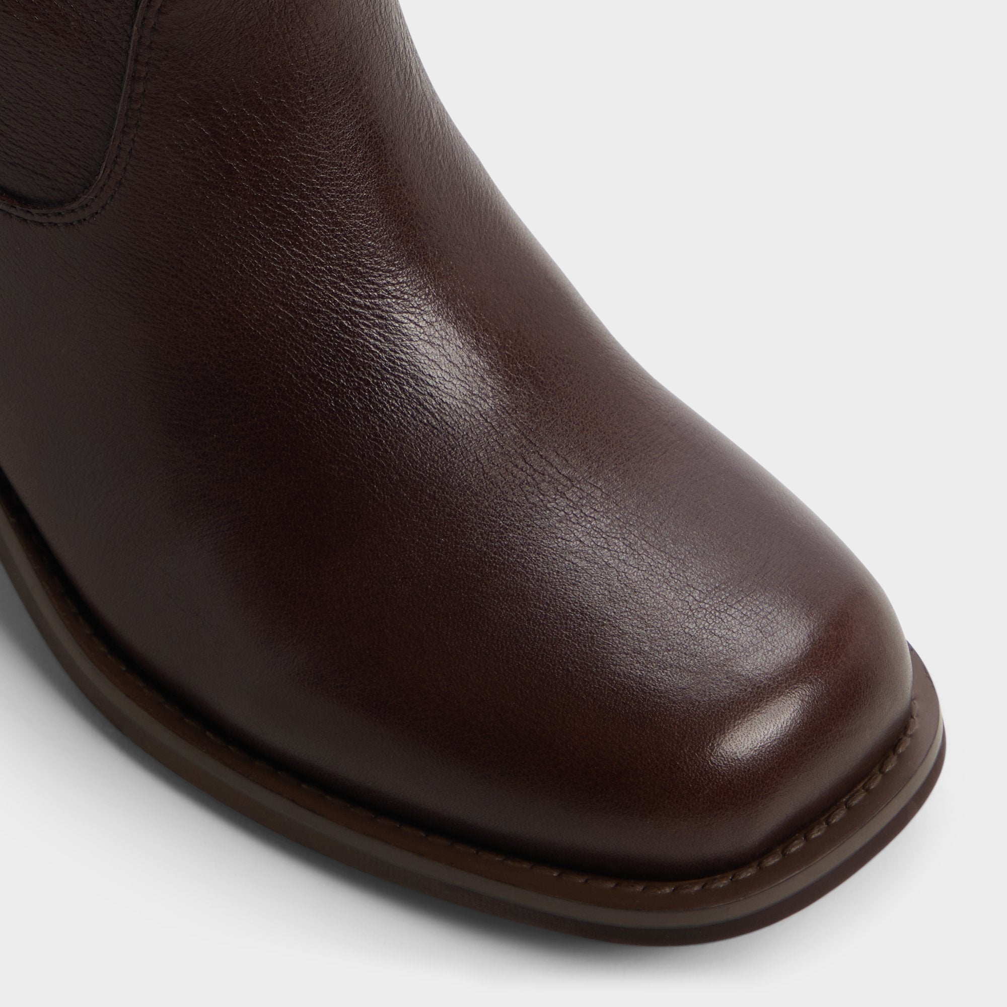 Dark brown Haverly in Dark Brown 14163441 - Ankle boot, Block heel | Aldo