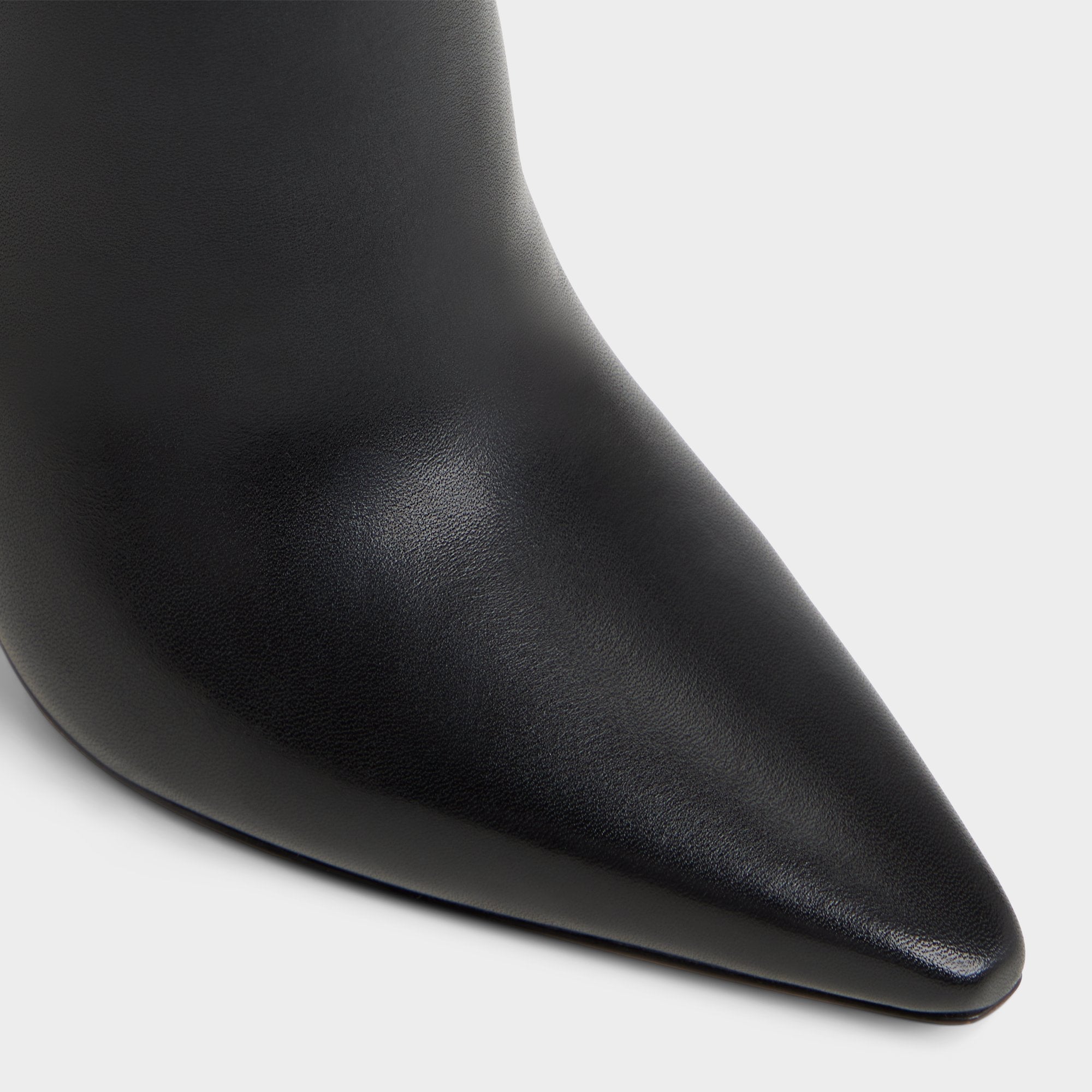 Black Guavaberry in Black - Ankle boot, Stiletto heel | Aldo