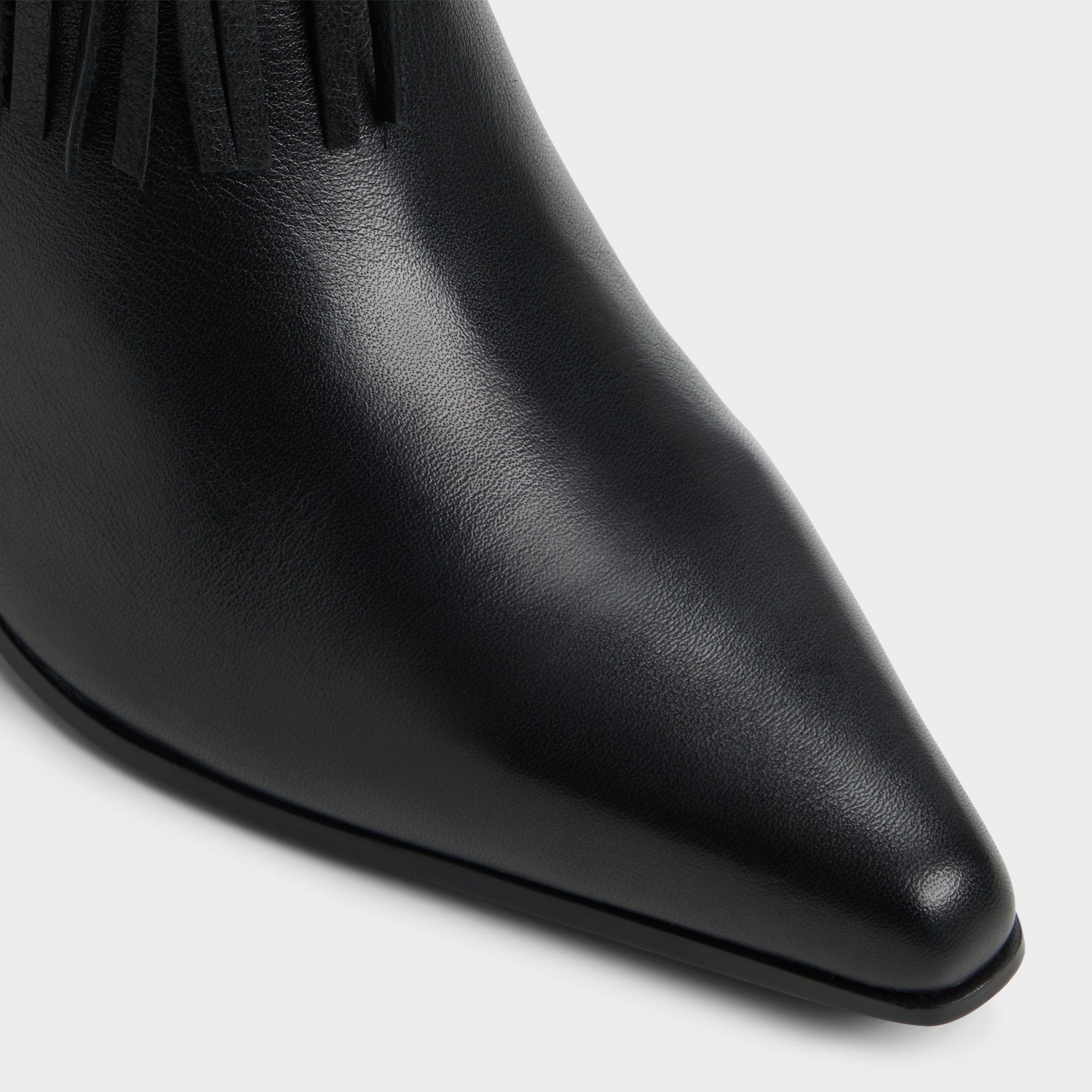 Black Jollene Black Women's Ankle boots - Ankle boot, Block heel | Aldo