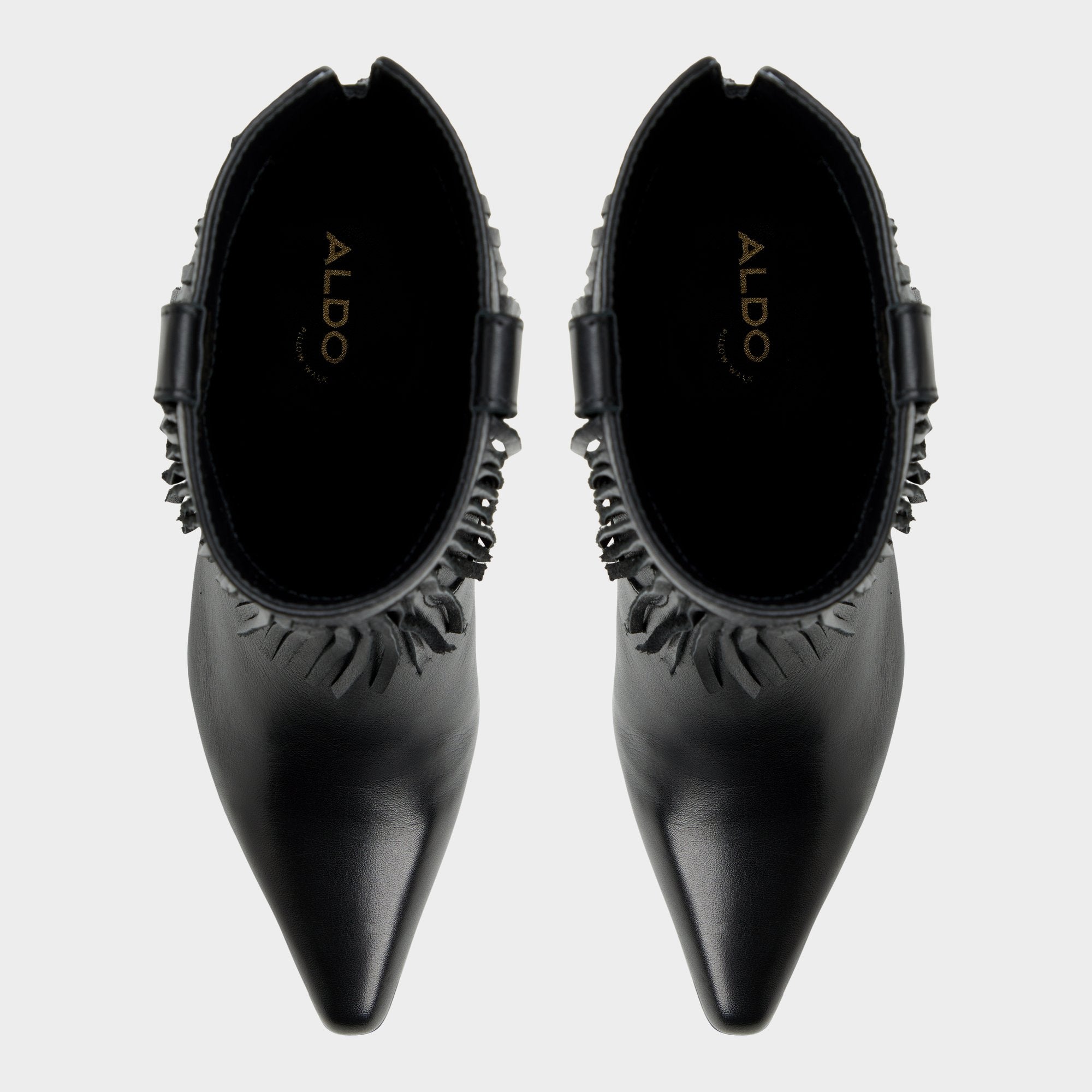 Black Jollene Black Women's Ankle boots - Ankle boot, Block heel | Aldo