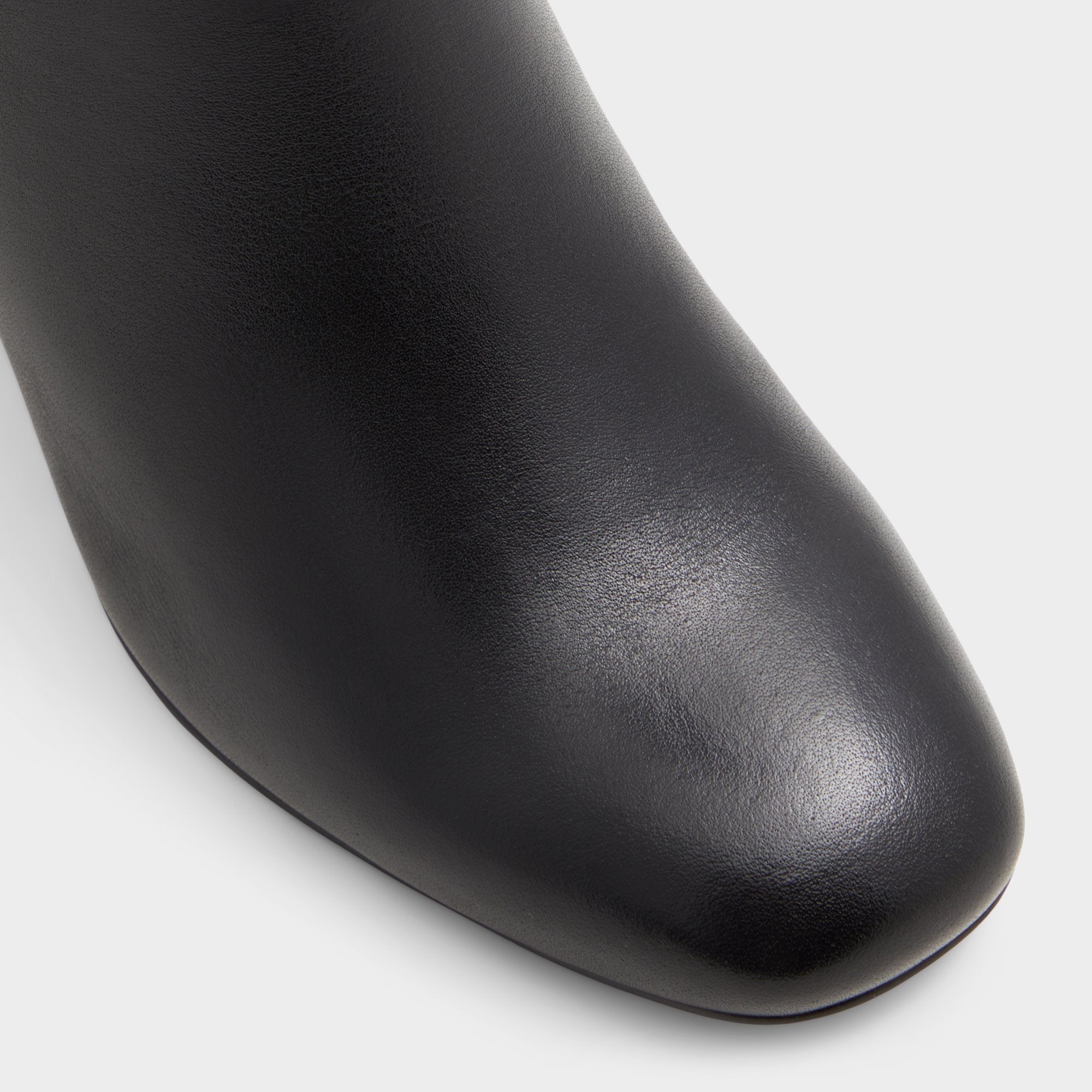 Black/black Satori-wc Black/Black Women's Tall Boots - Knee-high boot, Block heel | Aldo