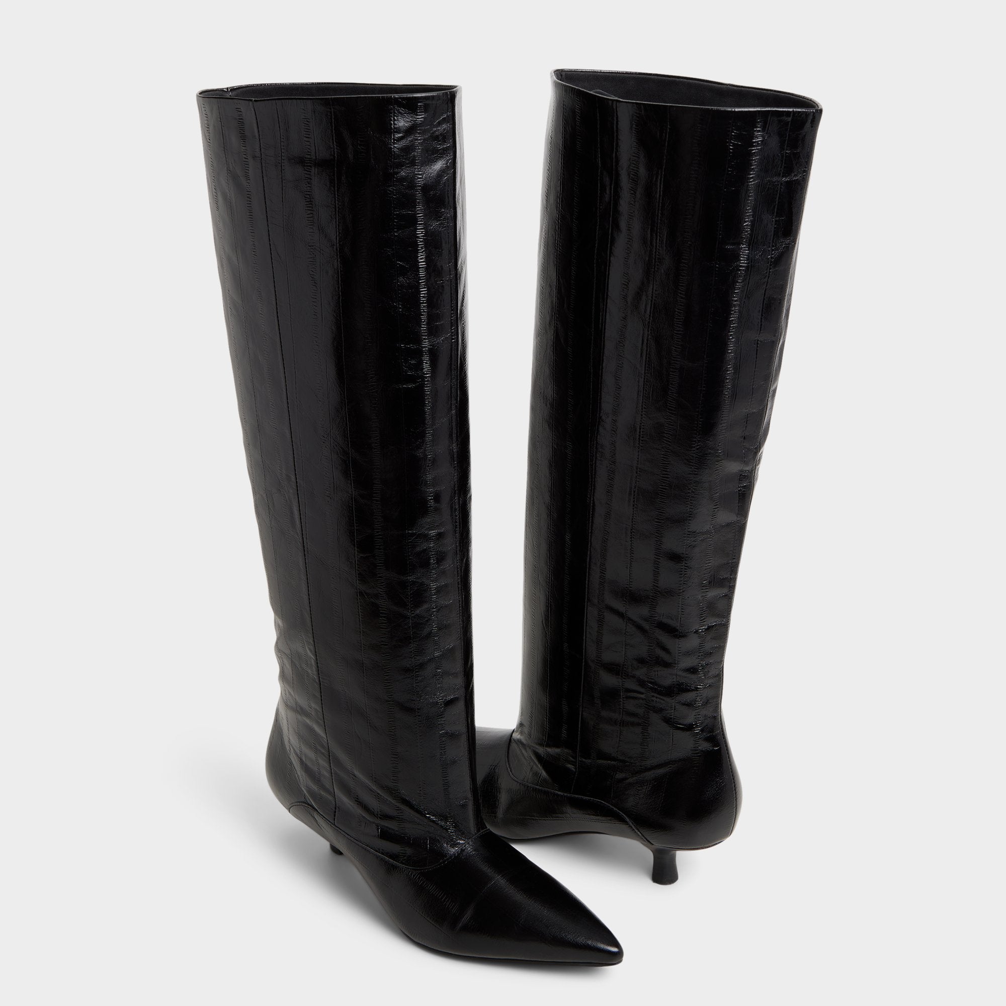 Black Everose in Black - Knee-high boot, Kitten heel | Aldo