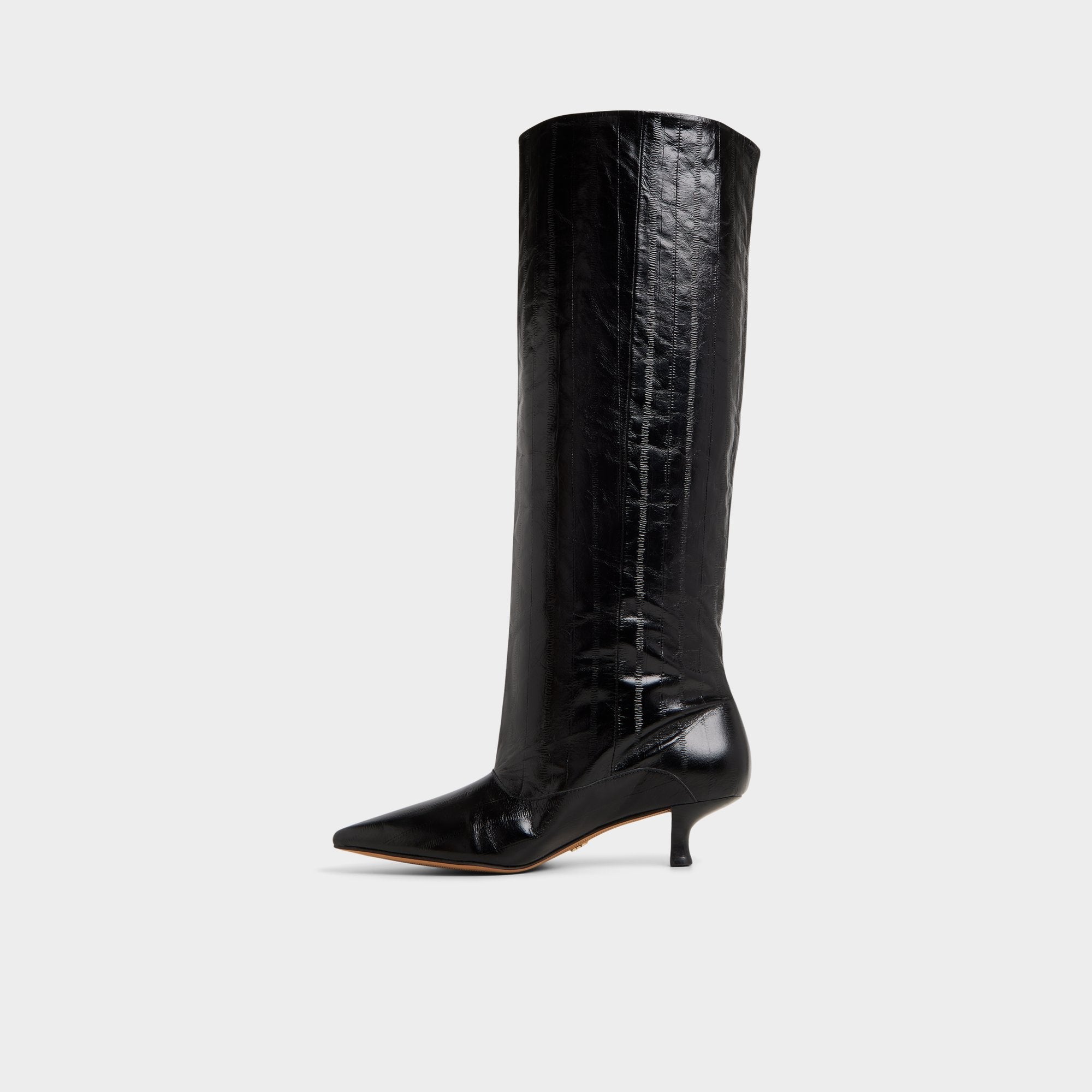 Black Everose in Black - Knee-high boot, Kitten heel | Aldo