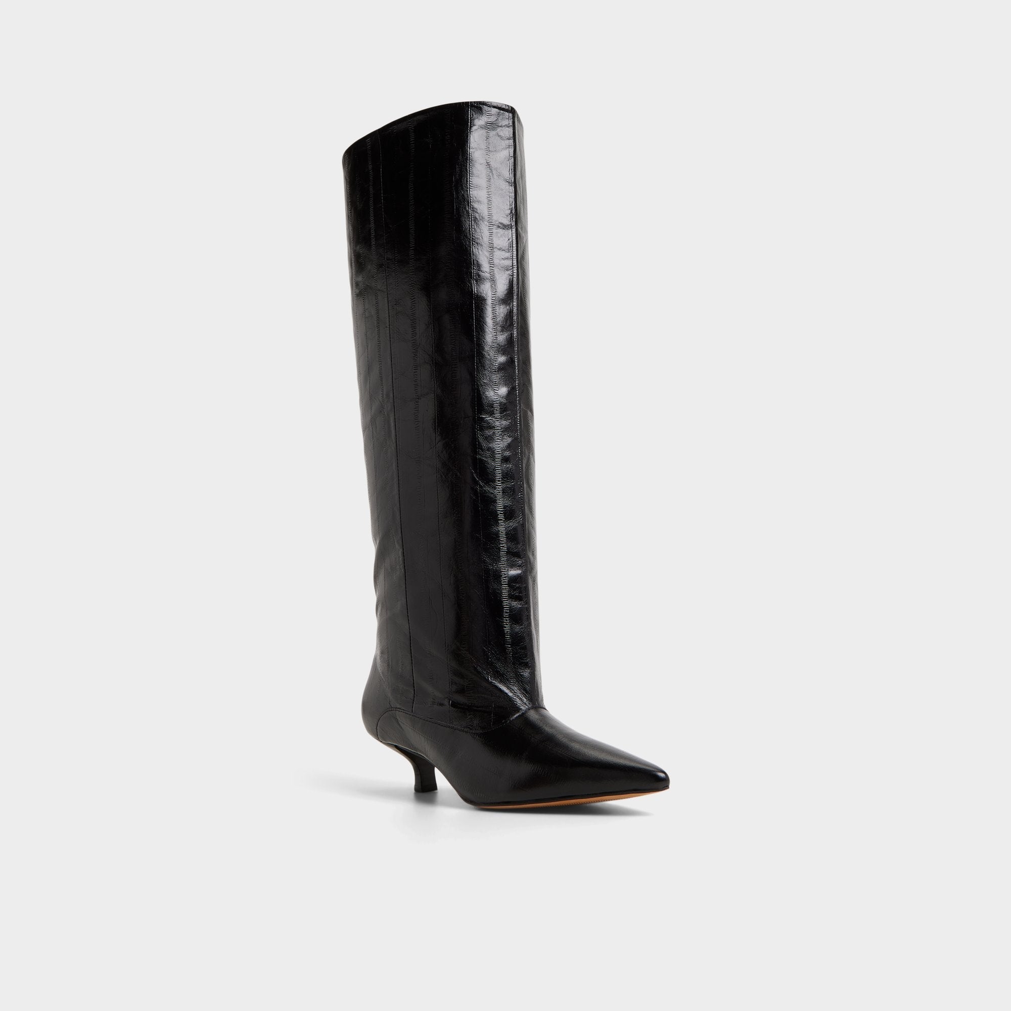 Black Everose in Black - Knee-high boot, Kitten heel | Aldo