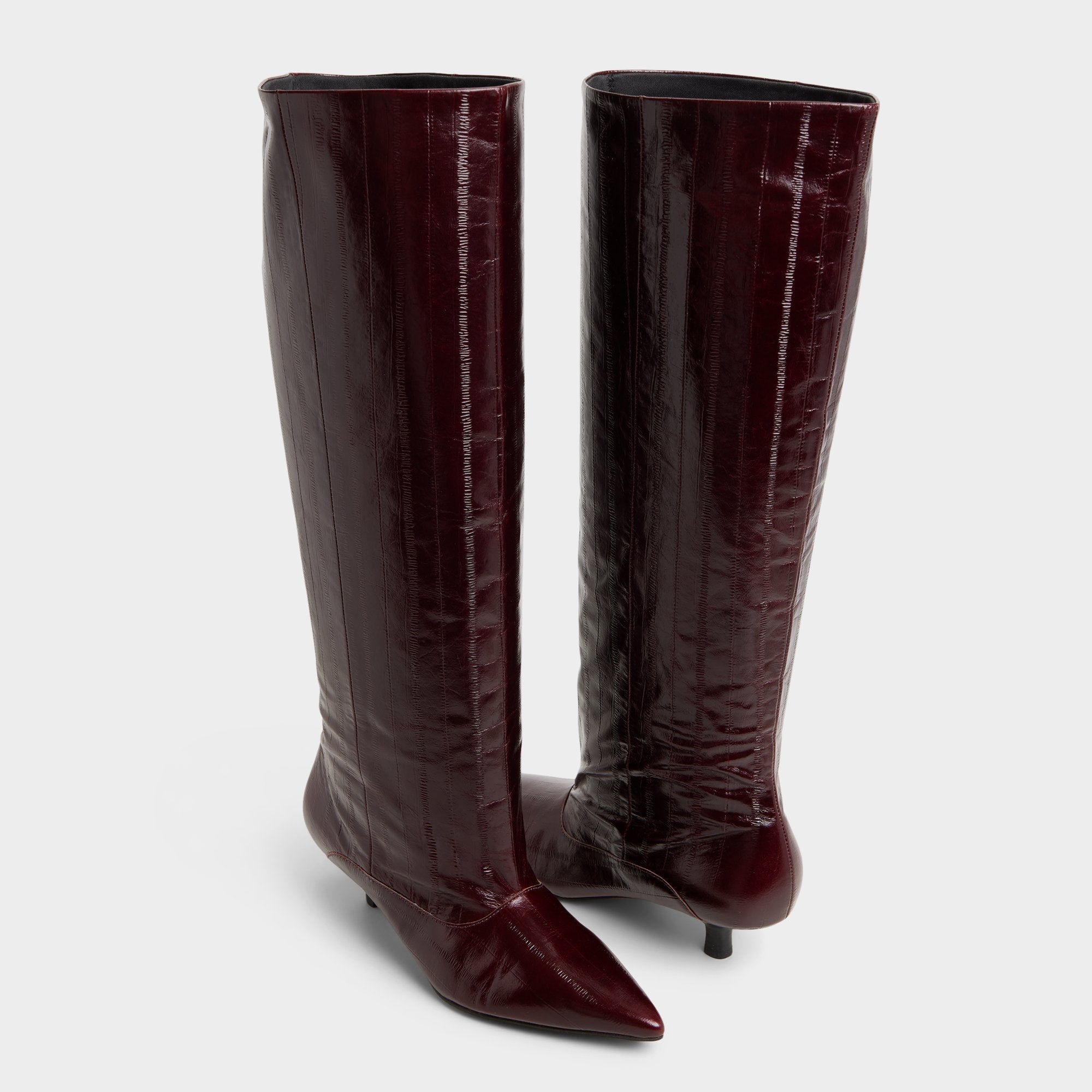 Bordo Everose in Bordo - Knee-high boot, Kitten heel | Aldo