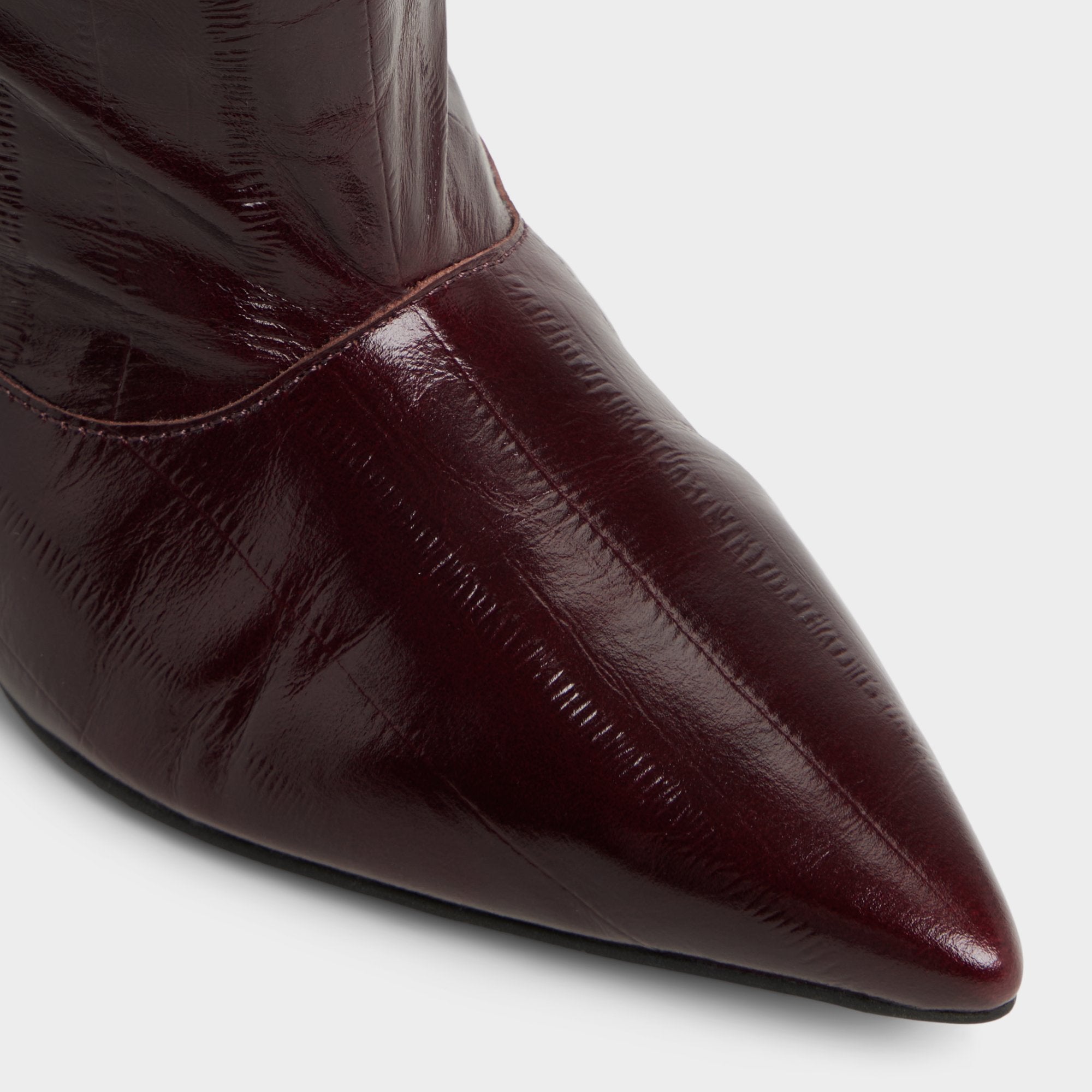 Bordo Everose in Bordo - Knee-high boot, Kitten heel | Aldo