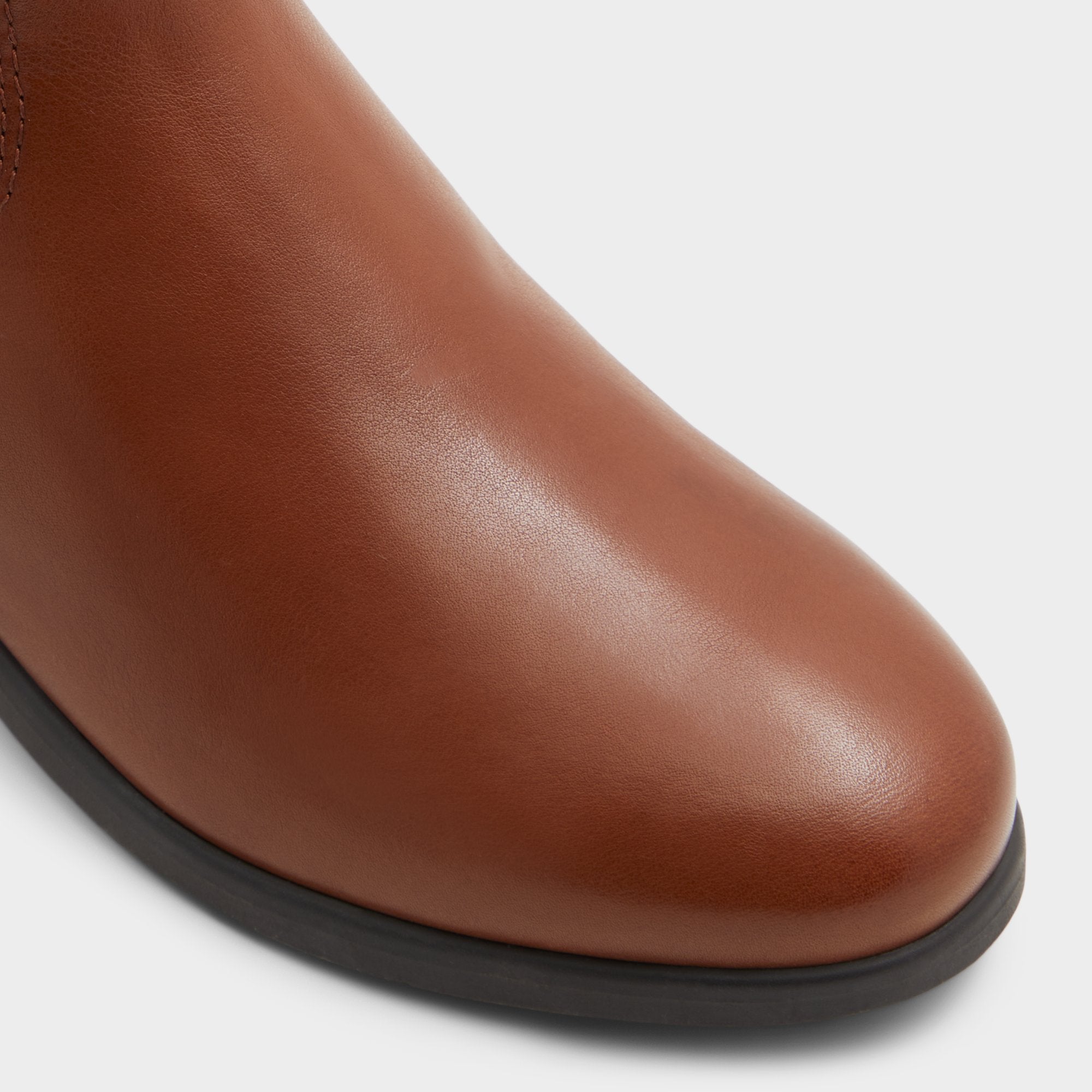 Cognac Wicoenitall Cognac Women's Tall Boots - Knee-high boot, Brown | Aldo