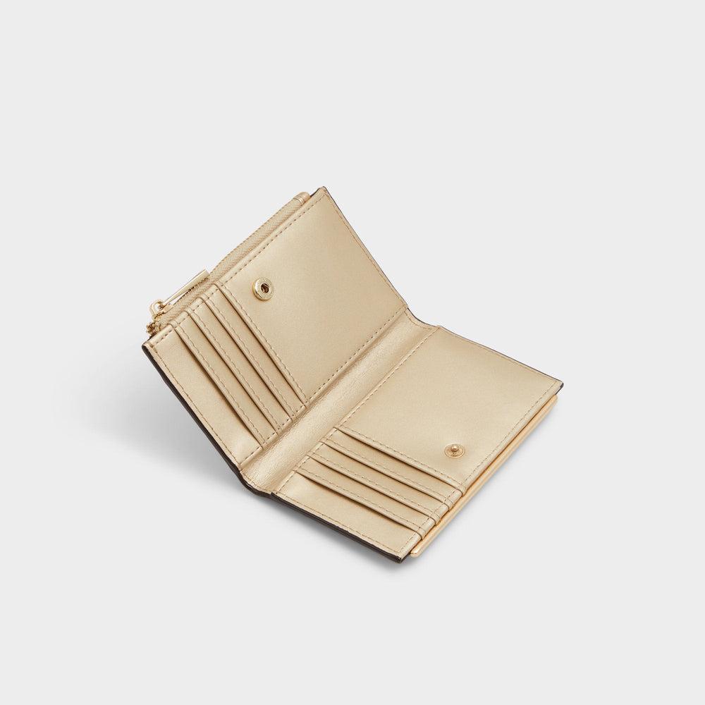 Gold Mereclyaa in Gold 14270295 - Wallet | Aldo