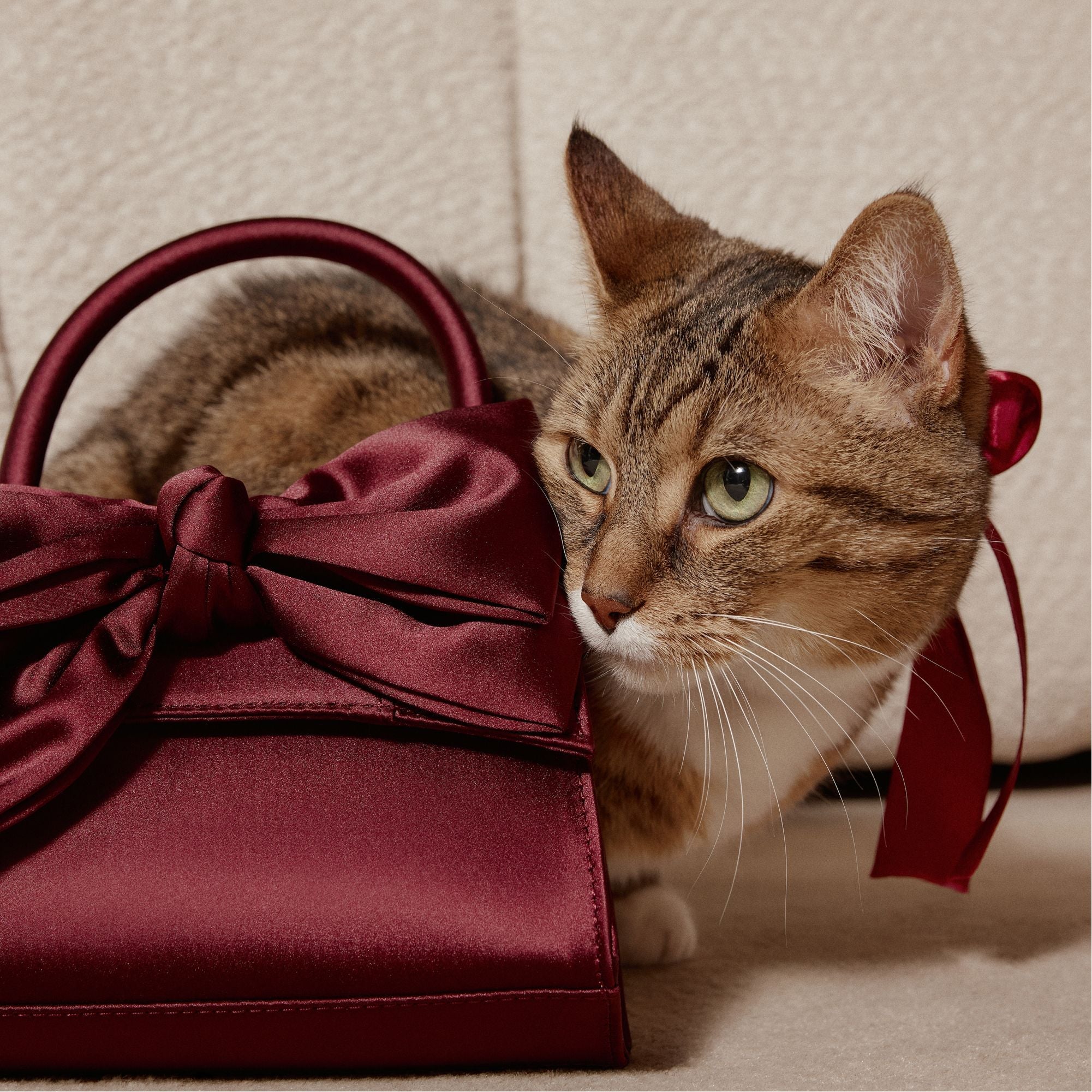 Dark Red Decadencee in Dark Red - Top handle bag | Aldo