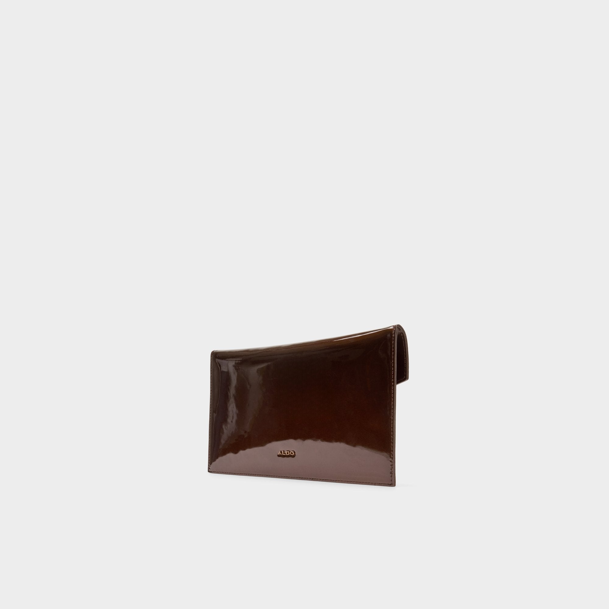 Other Brown Larriblingg in Other Brown - Clutch | Aldo