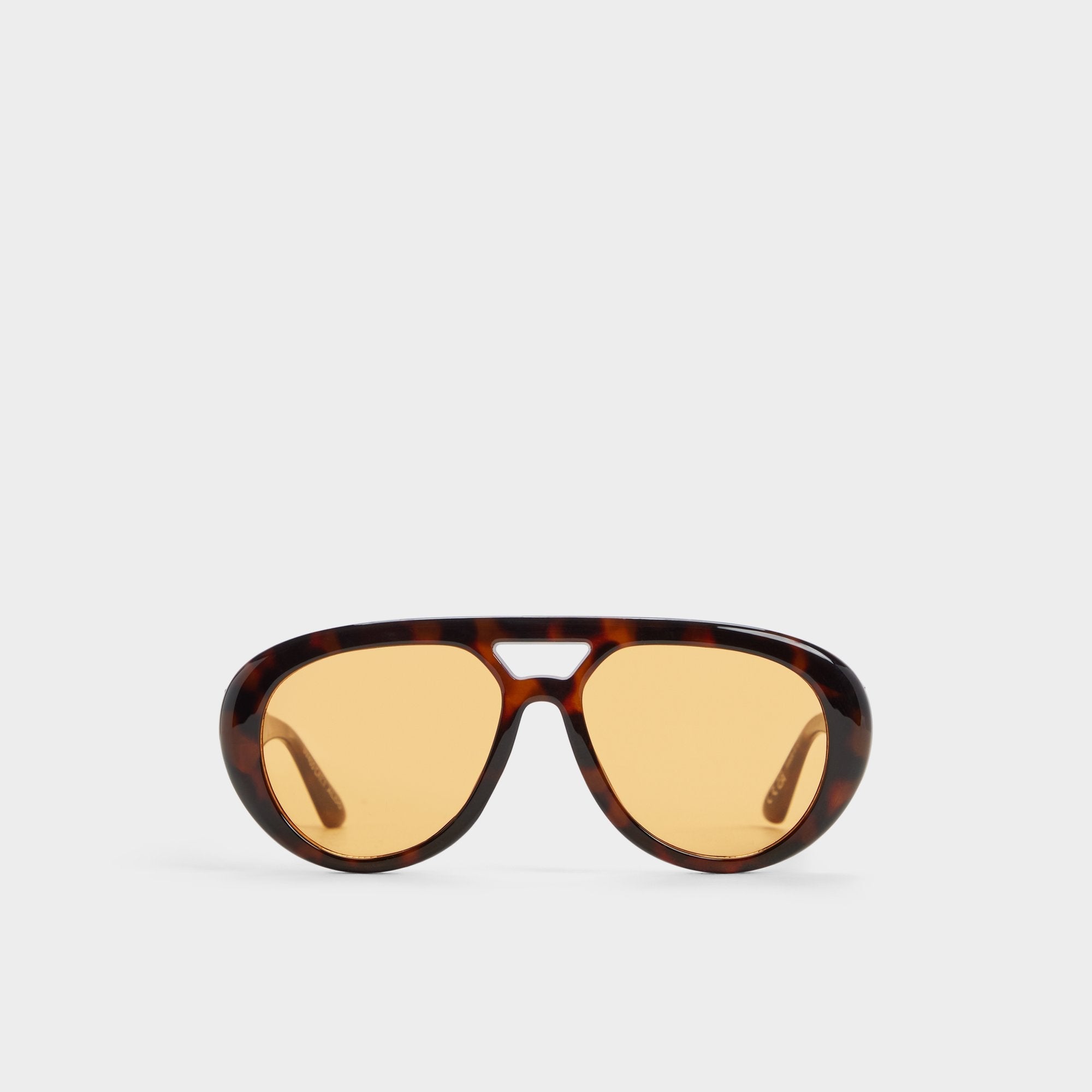 Other brown Talaterielx in Other Brown - Aviator sunglasses | Aldo