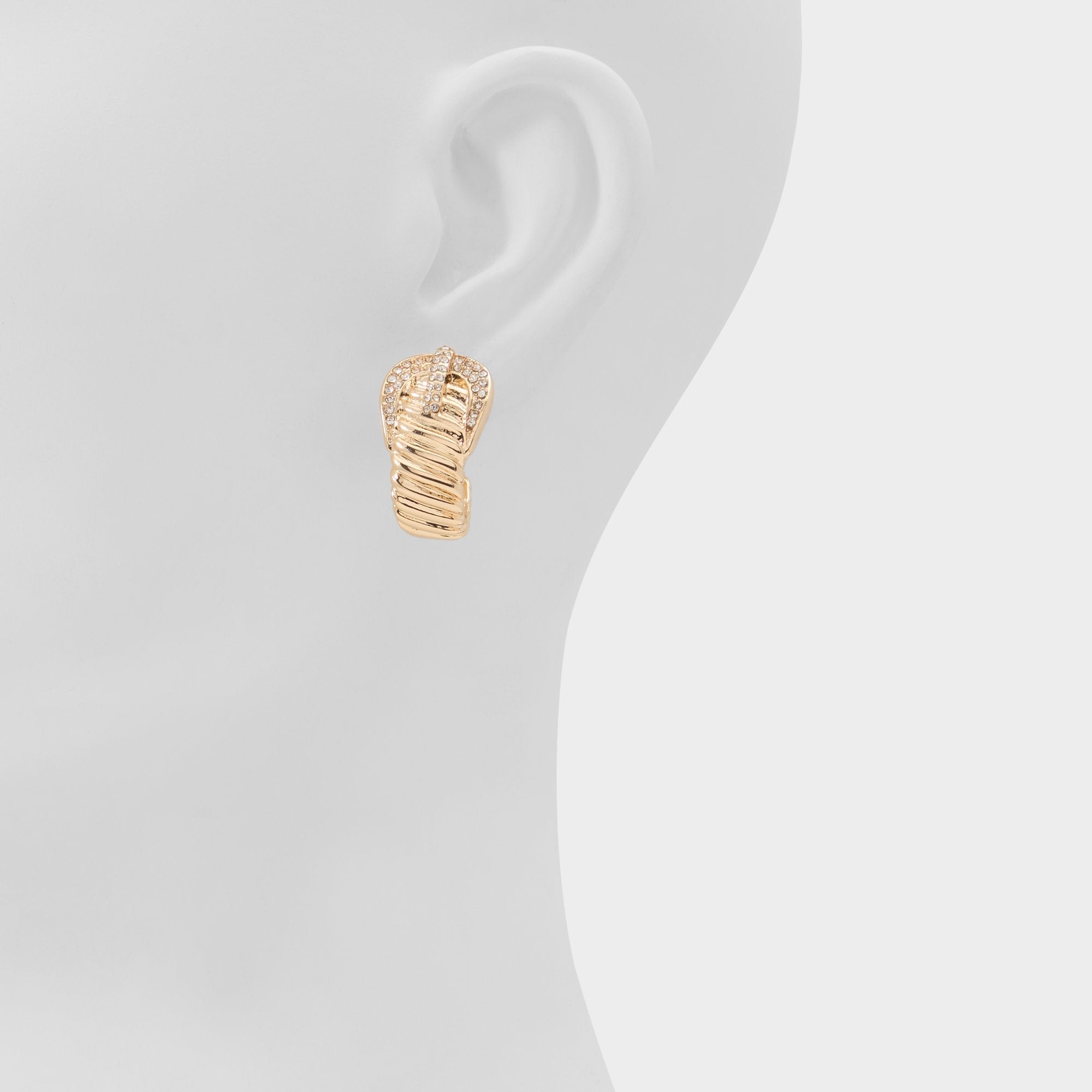 Gold/clear multi Cintura in Gold Clear Multi - Hoop earrings | Aldo