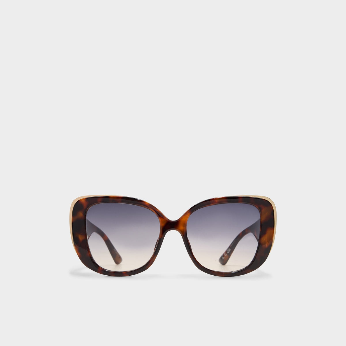 Other Brown Dorkayx Other Brown Women's Square - Square sunglasses | Aldo