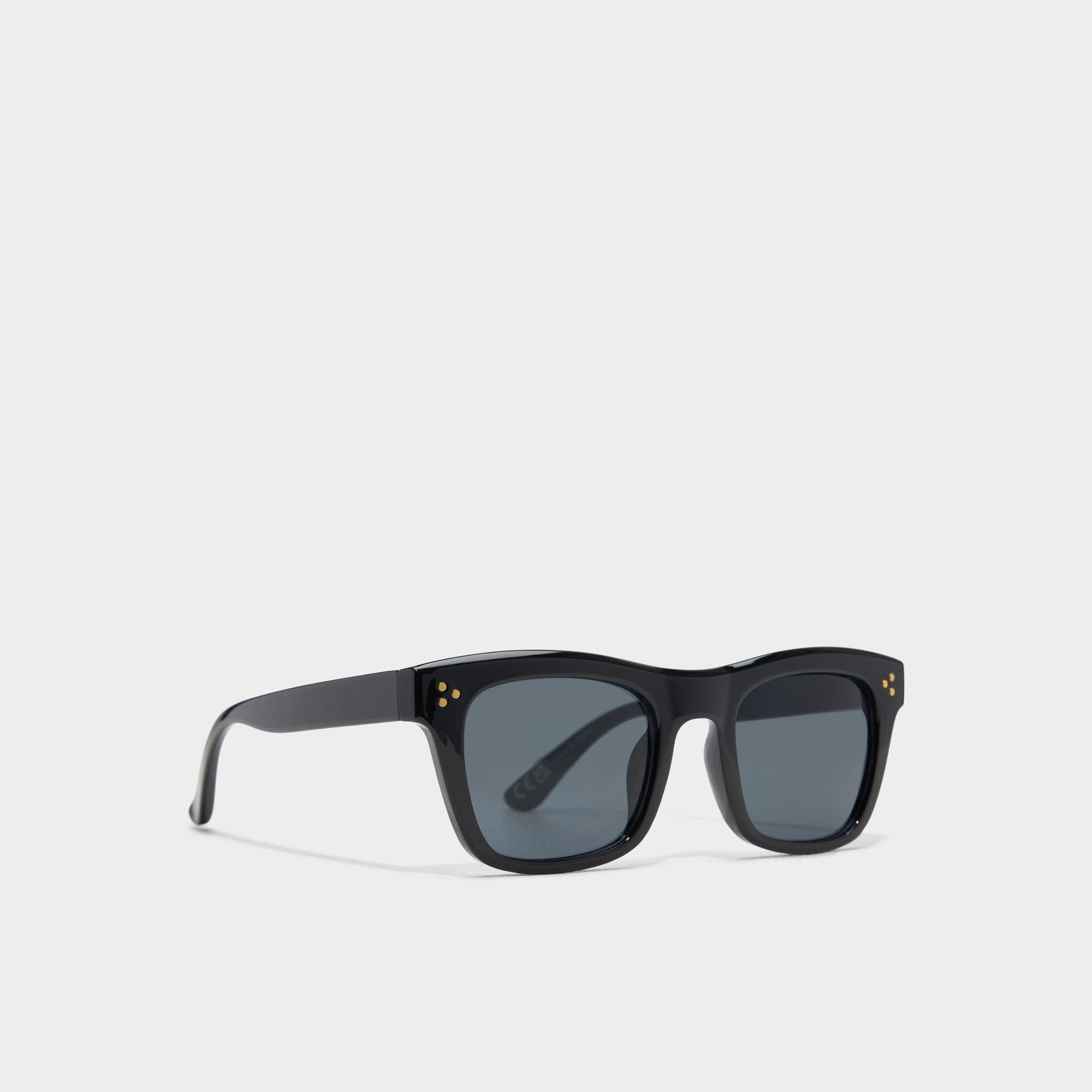 Black Aliralx Black Women's Sunglasses - Sunglasses | Aldo