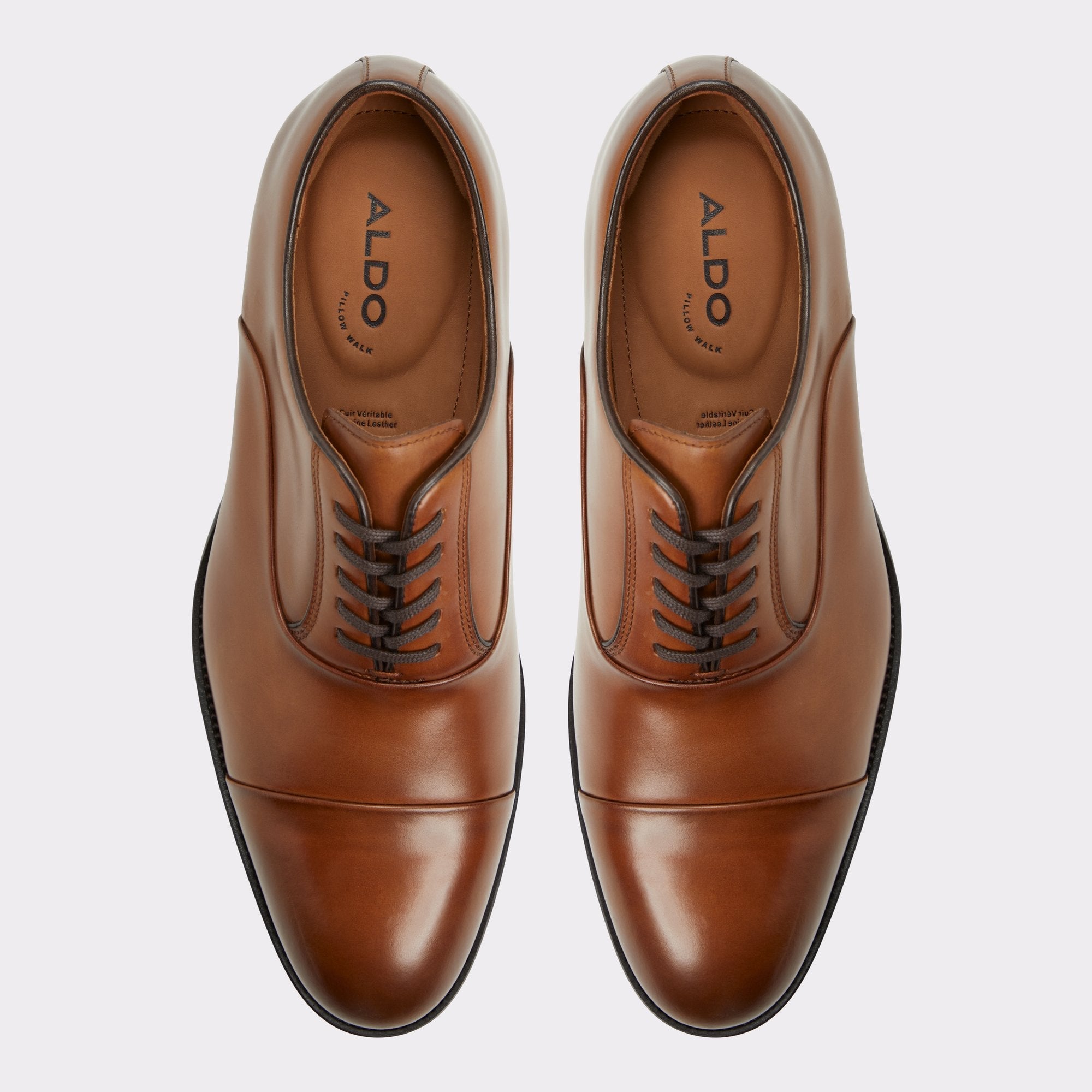 Cognac Lazio in Cognac - Oxford shoe | Aldo