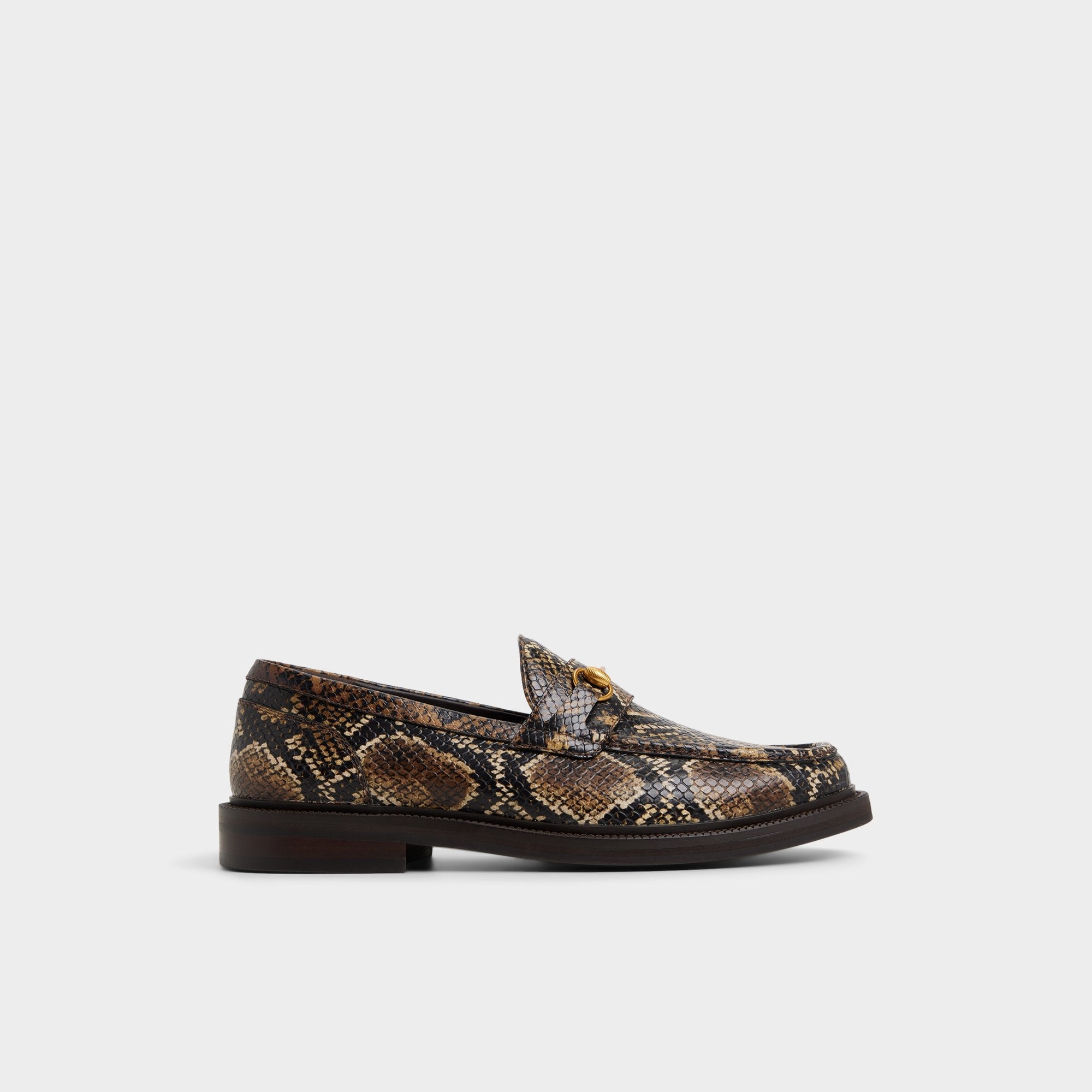 Brown Arturo in Brown - Loafer | Aldo