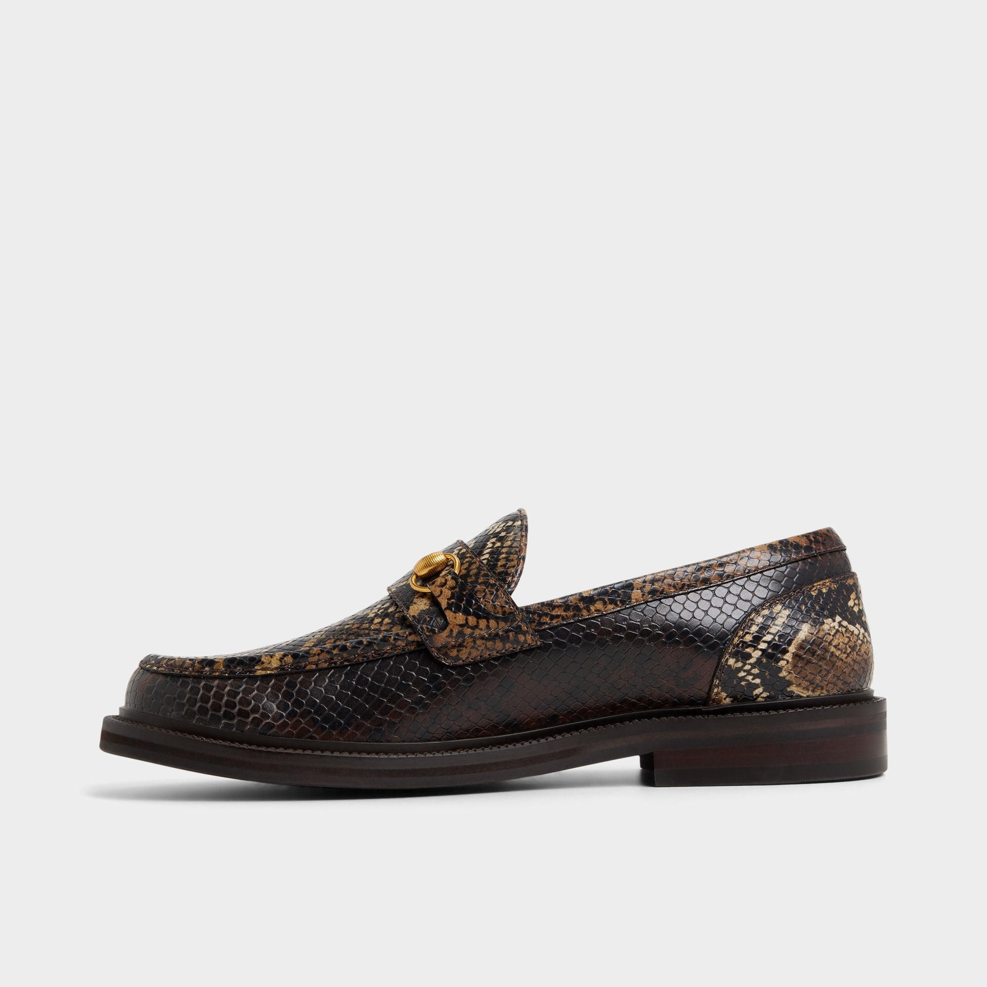 Brown Arturo in Brown - Loafer | Aldo