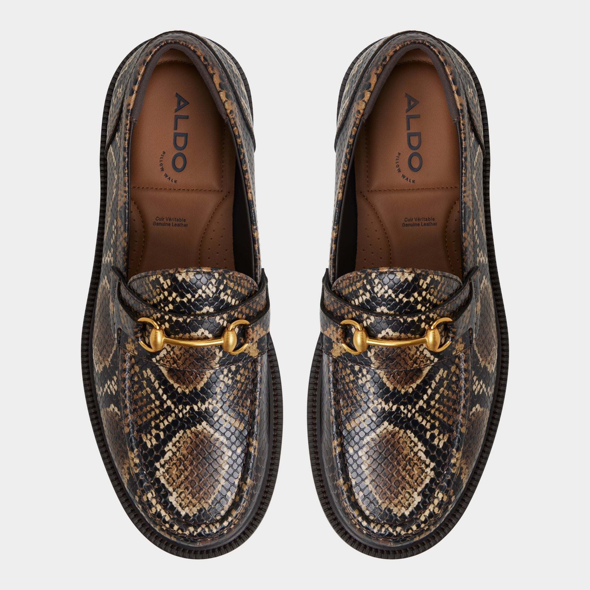 Brown Arturo in Brown - Loafer | Aldo