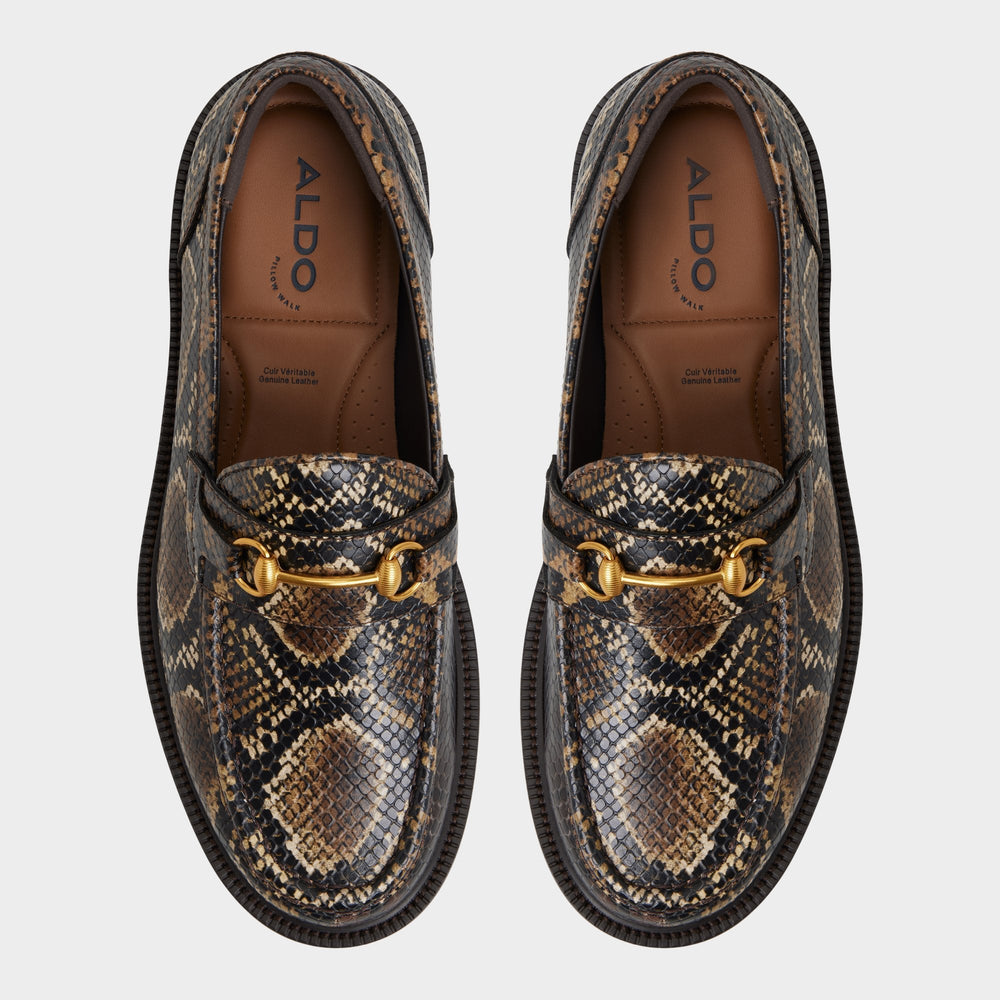 Brown Arturo in Brown - Loafer | Aldo