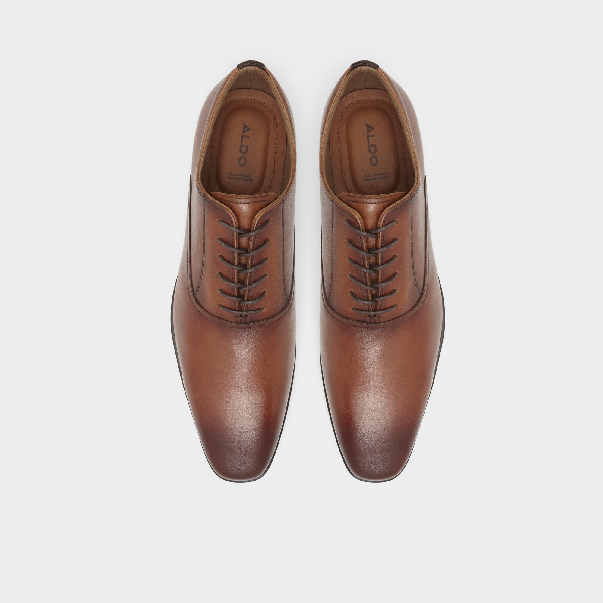 Cognac Nathon in Cognac - Oxford shoe | Aldo
