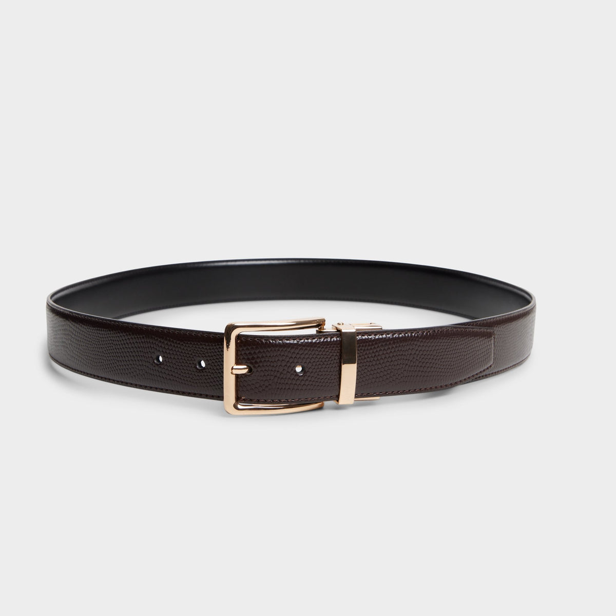 Dark brown Nicholas in Dark Brown - Belt | Aldo